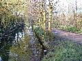 spring2001-1.jpg