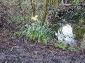 spring2001-3.jpg